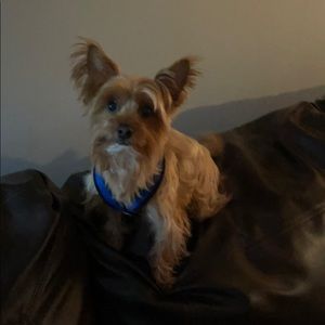 Meet your Posher, Colby